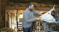 agriculteur qui caresse une vache